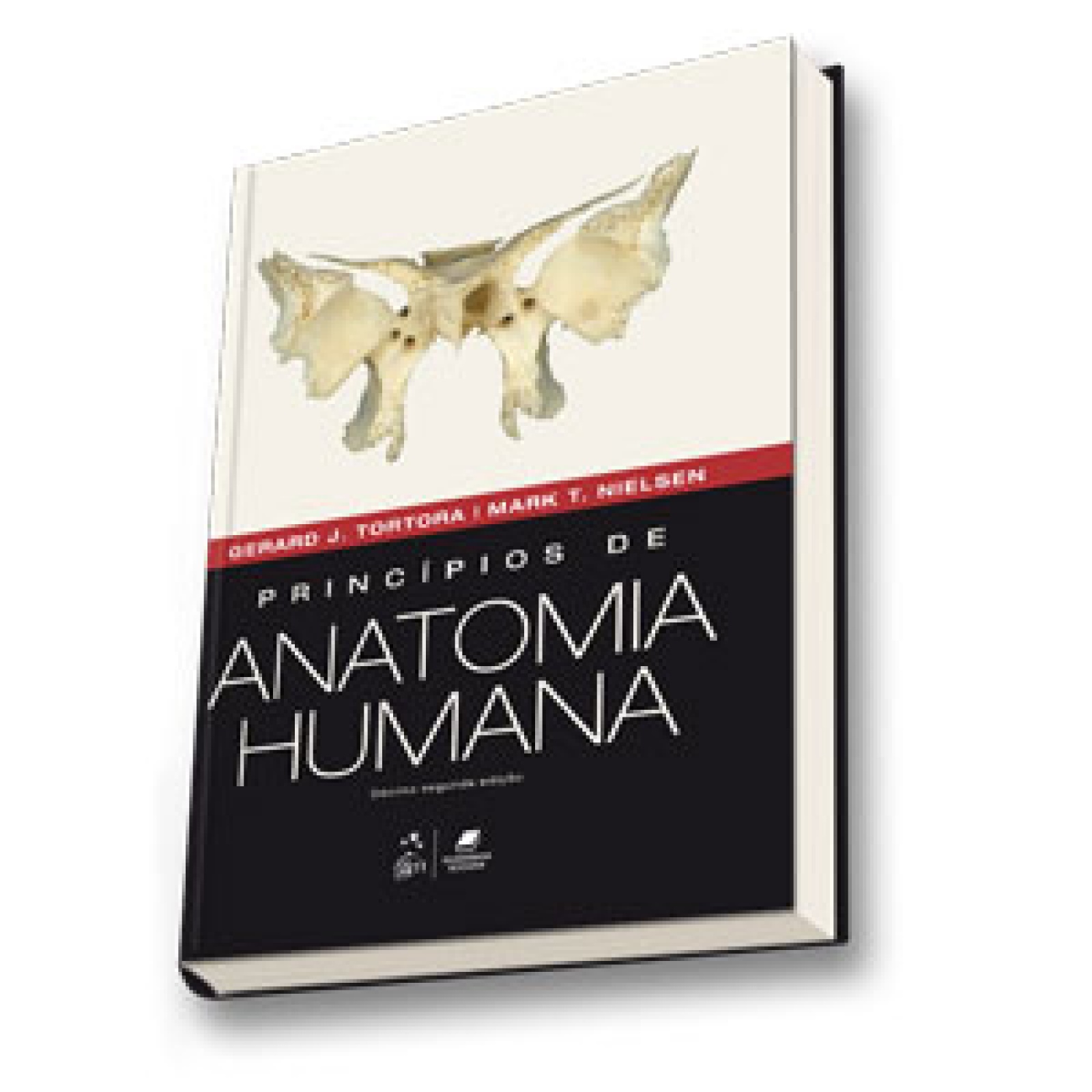 Princípios De Anatomia Humana