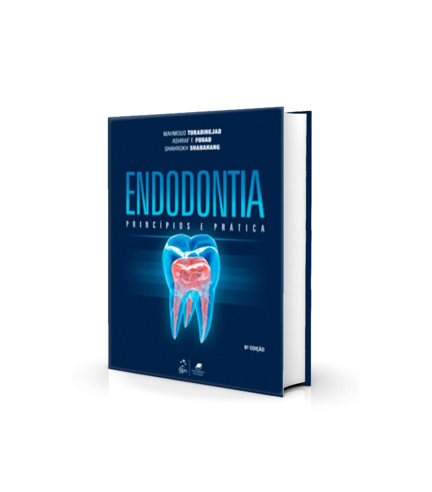 Endodontia - Princípios E Prática